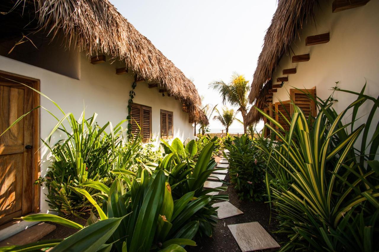 Paredon Surf House Hotel El Paredon Buena Vista Ngoại thất bức ảnh