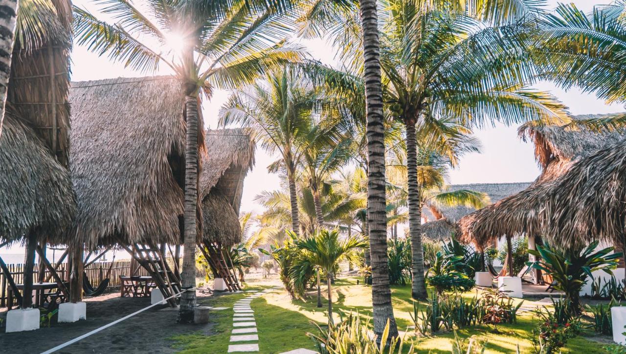 Paredon Surf House Hotel El Paredon Buena Vista Ngoại thất bức ảnh