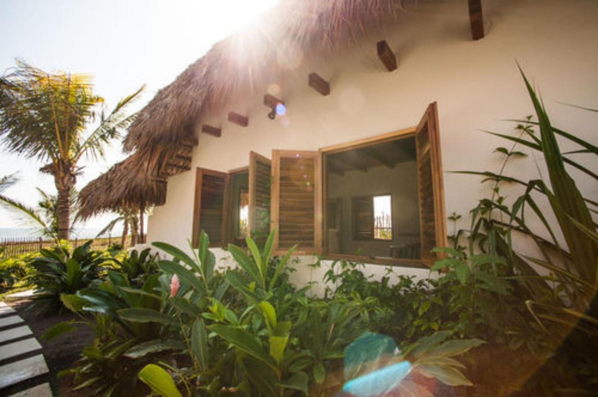 Paredon Surf House Hotel El Paredon Buena Vista Phòng bức ảnh