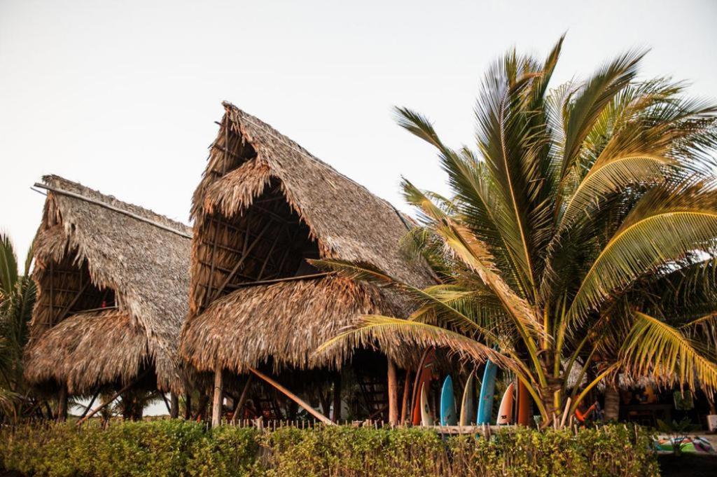 Paredon Surf House Hotel El Paredon Buena Vista Phòng bức ảnh