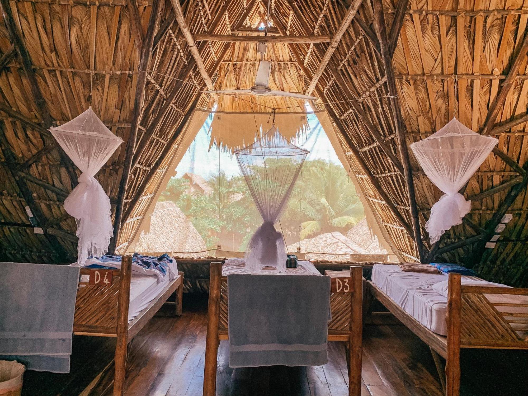 Paredon Surf House Hotel El Paredon Buena Vista Phòng bức ảnh