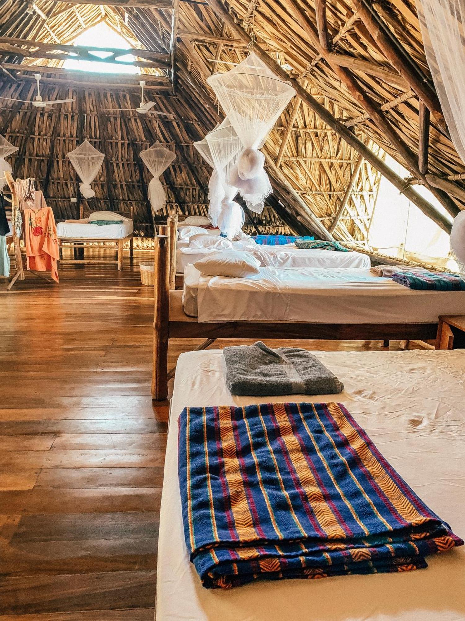 Paredon Surf House Hotel El Paredon Buena Vista Phòng bức ảnh