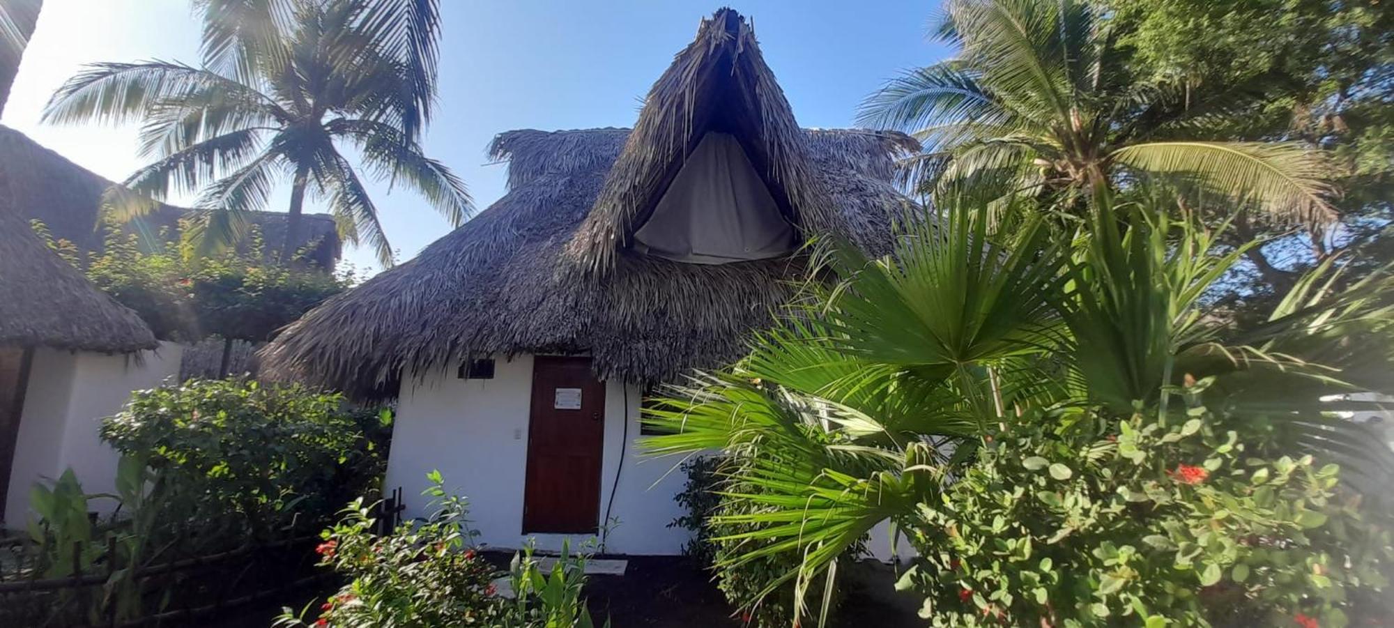 Paredon Surf House Hotel El Paredon Buena Vista Ngoại thất bức ảnh
