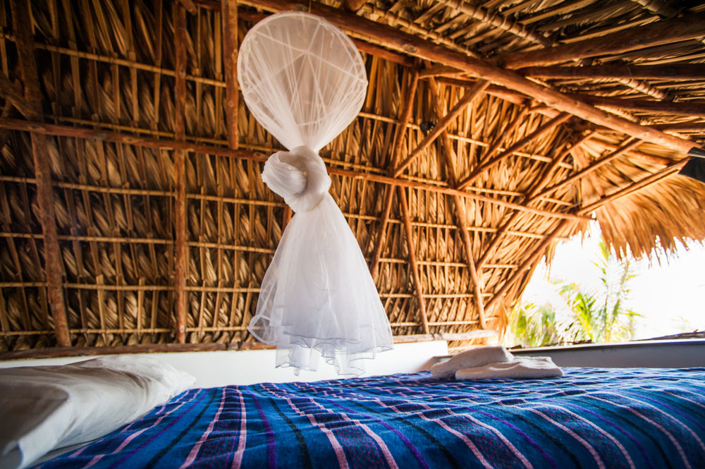 Paredon Surf House Hotel El Paredon Buena Vista Ngoại thất bức ảnh