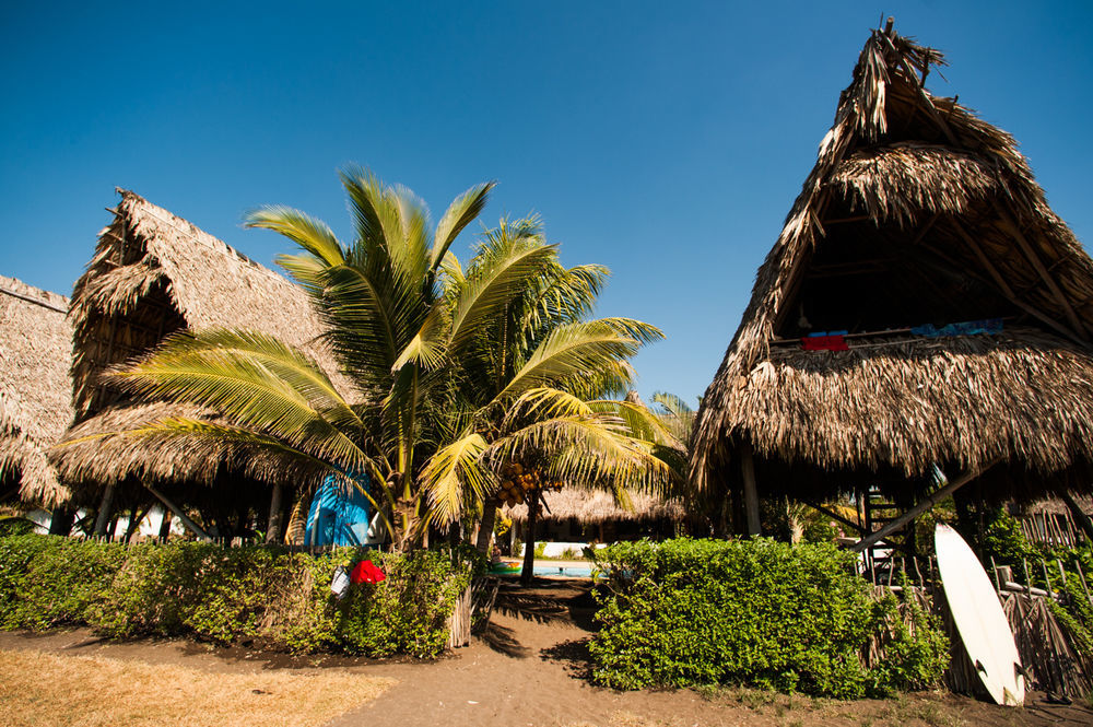 Paredon Surf House Hotel El Paredon Buena Vista Ngoại thất bức ảnh